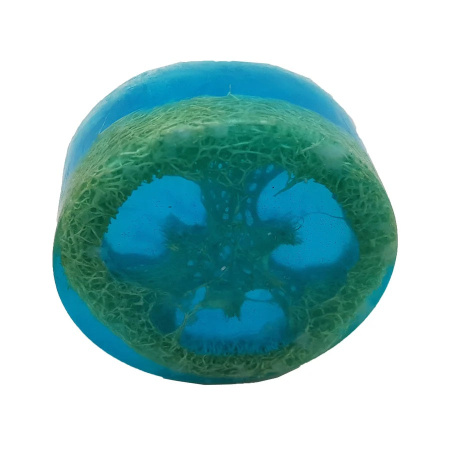 Blueberry Loofah Organic Soap Baytulkenz Perfumes